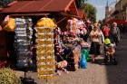 swietorozy  IMG_9431.jpg